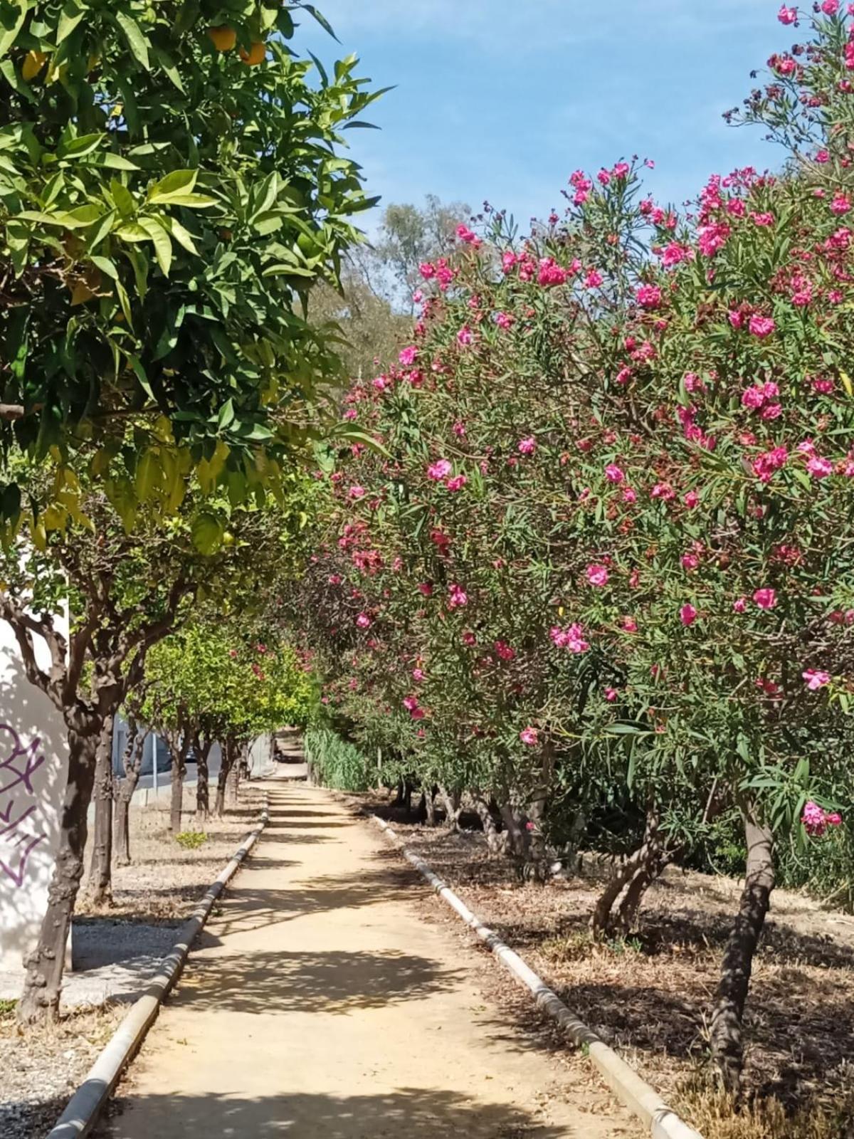 Villacarmen Suite Benalmádena Zewnętrze zdjęcie